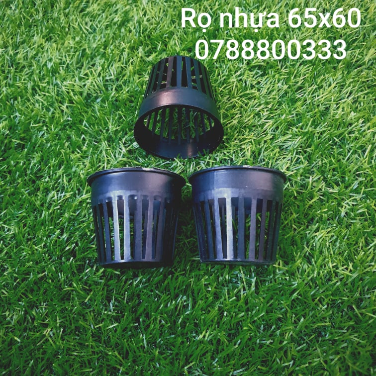 89872808_796833640795725_8288680088300421120_n