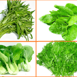 Cách gieo trồng hạt giống rau ăn lá