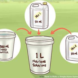 Hướng dẫn cách pha dung dịch thủy canh đơn giản