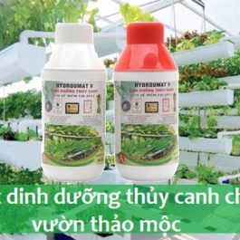 Chất dinh dưỡng thủy canh cho vườn thảo mộc