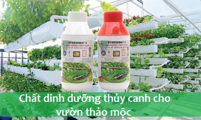 Read more about the article Chất dinh dưỡng thủy canh cho vườn thảo mộc