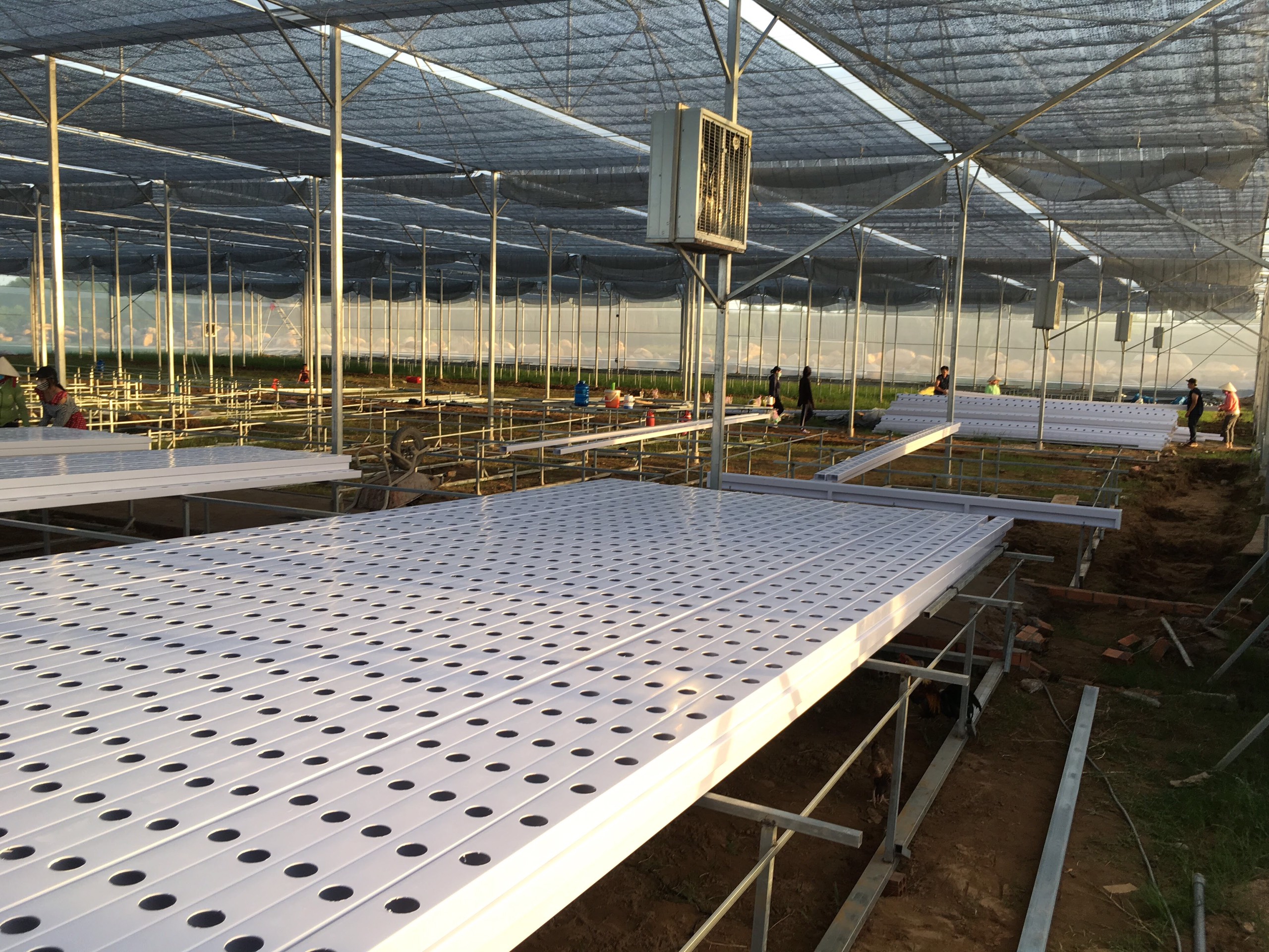 Hình 5: Đợt lên giàn ống thủy canh đầu tiên tại vườn rau