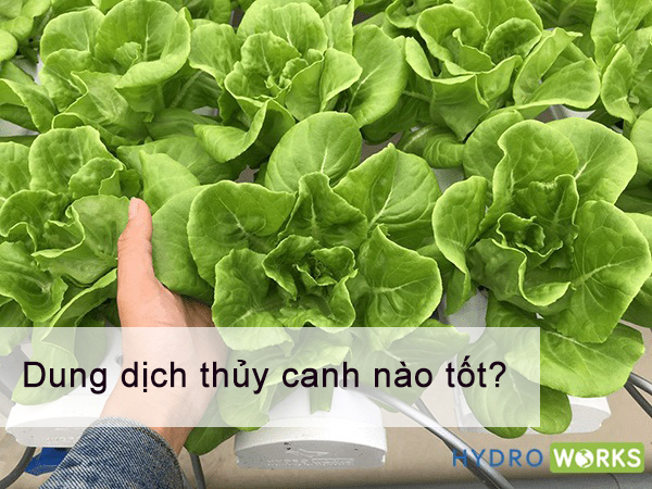 Read more about the article Loại dung dịch thủy canh nào tốt cho cây trồng hiện nay