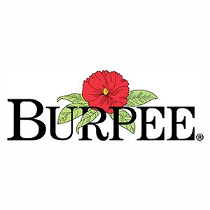 hat-giong-xach-tay-my-hang-burpee-ecbb Hạt giống xách tay Mỹ hãng Burpee