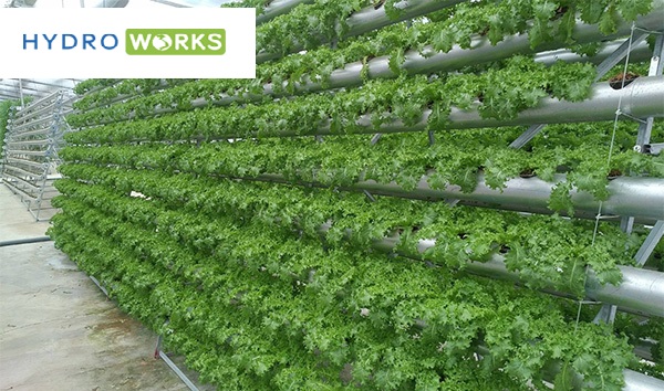 Read more about the article Mô hình hệ thống trồng rau thủy canh hồi lưu cải tiến