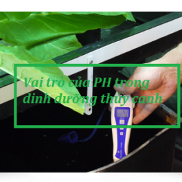 Tầm quan trọng của Nồng độ PH trong dinh dưỡng thủy canh