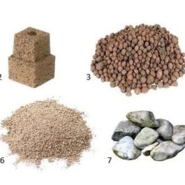 Giá thể là gì? Các loại giá thể trồng rau thủy canh phổ biến