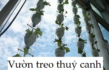 Read more about the article Hệ thống trồng rau vườn treo thuỷ canh