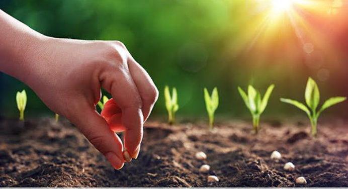 Ngọn đuốc cho đời hay "cánh rừng đang mọc"